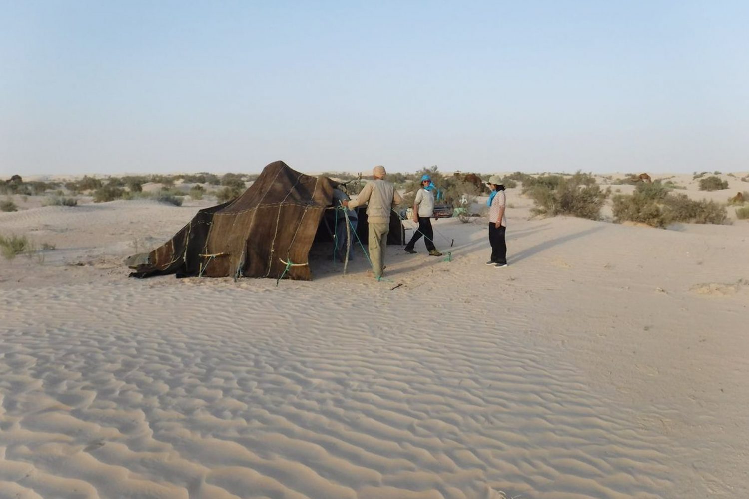 Tunisian Sahara Desert Trek in a loop from Douz