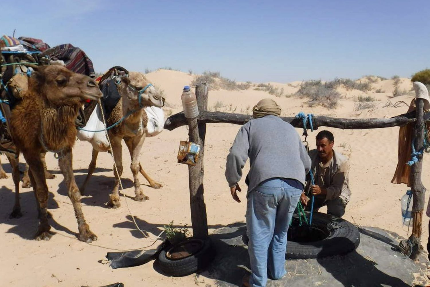 Tunisia Sahara Desert Trek in a loop from Douz