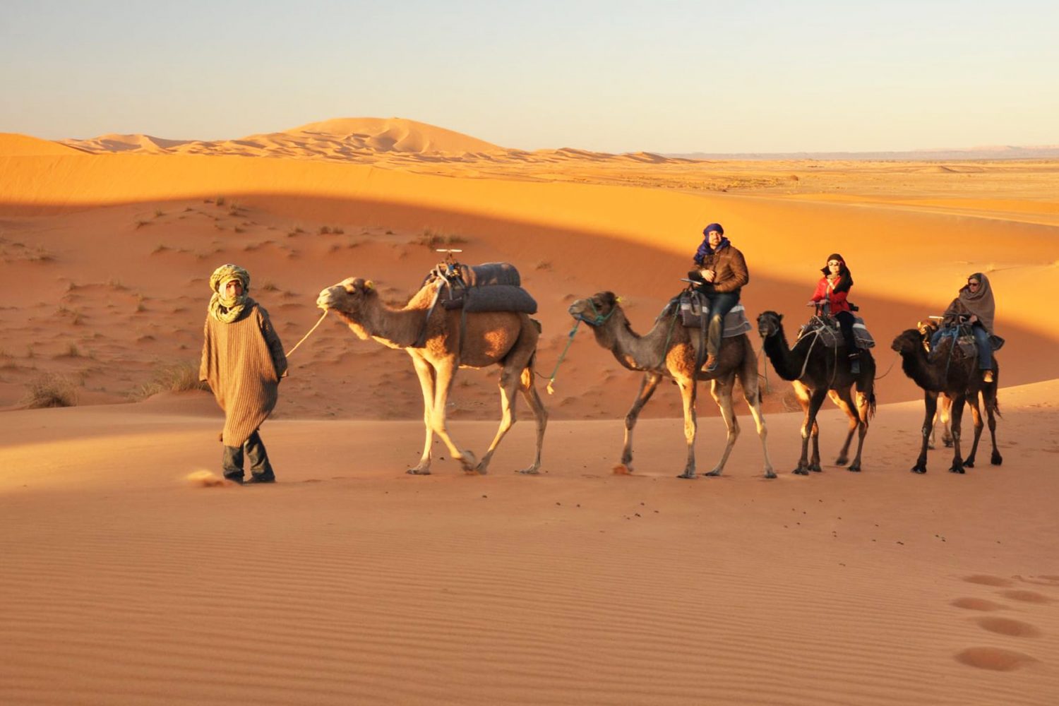 Sahara Desert Camel Trek
