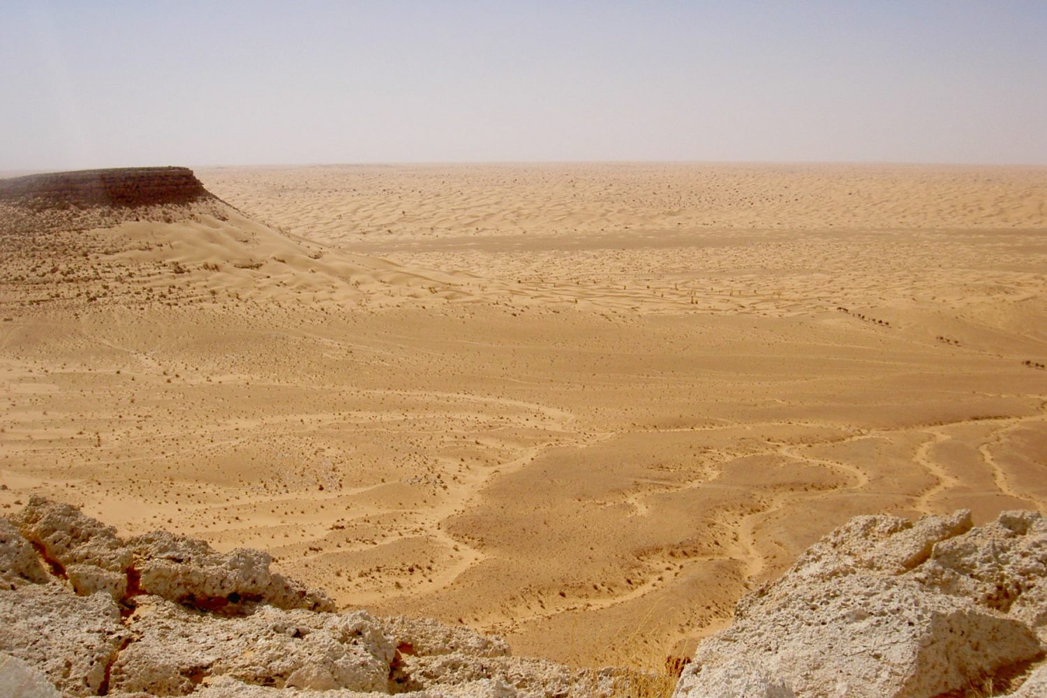 Camel Trek from Tembaine to Sahara Houidhat Lake