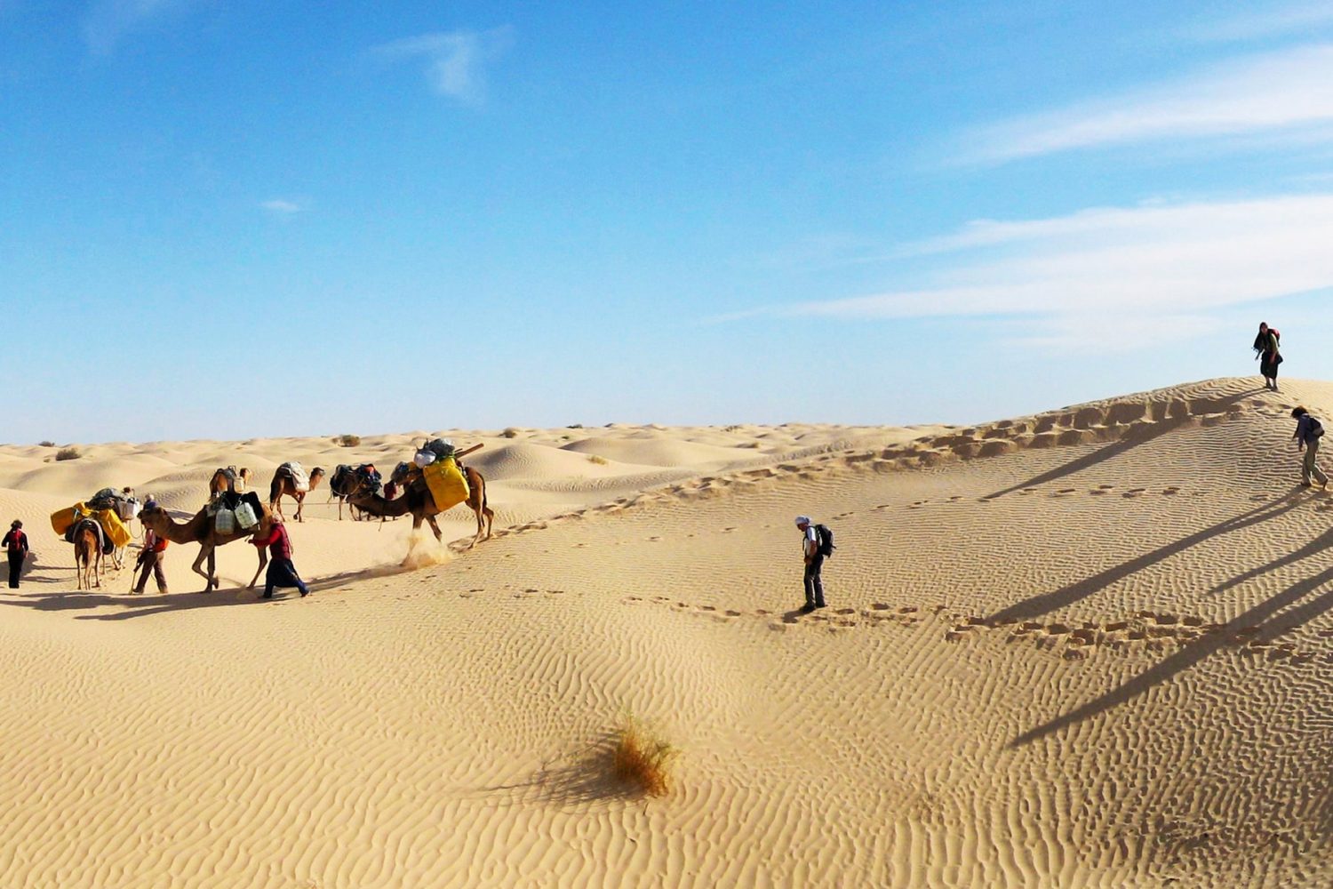 Camel Trek from Tembaine to Sahara Houidhat Lake