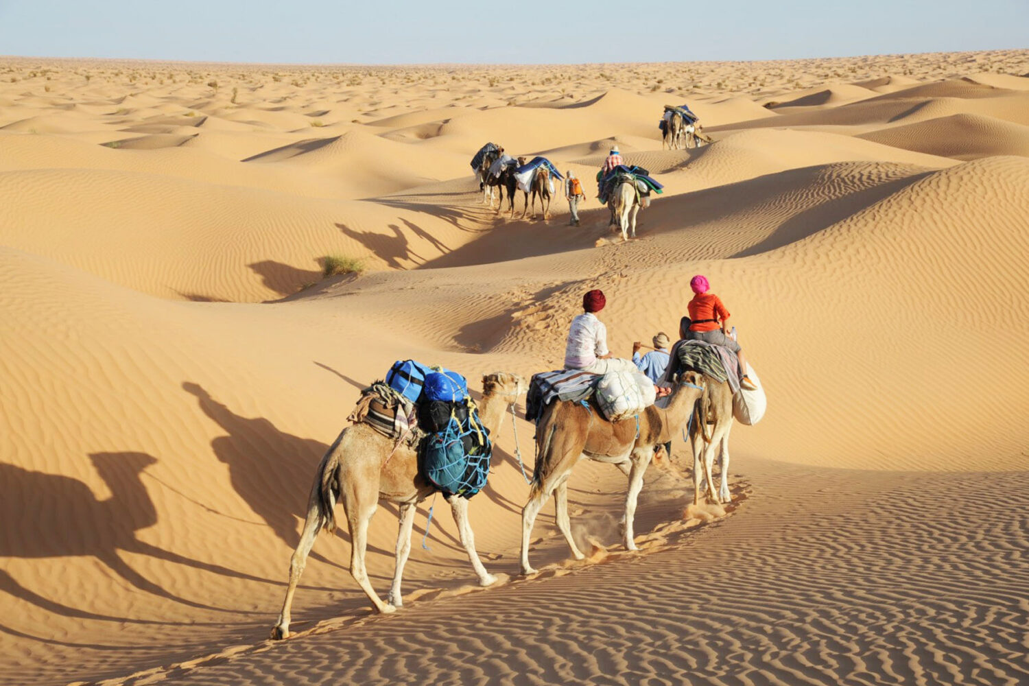 Sahara Desert Camel Trek Tunisia