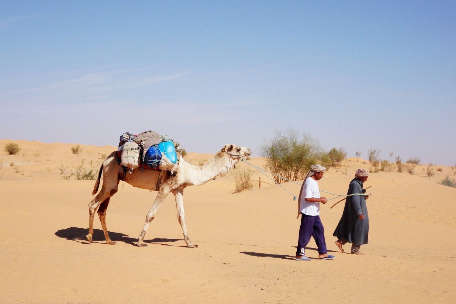 Tunisian Sahara Desert Trek in a loop from Douz