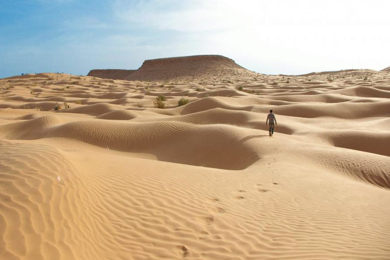Camel Trekking from Tembaine to Sahara Houidhat Lake
