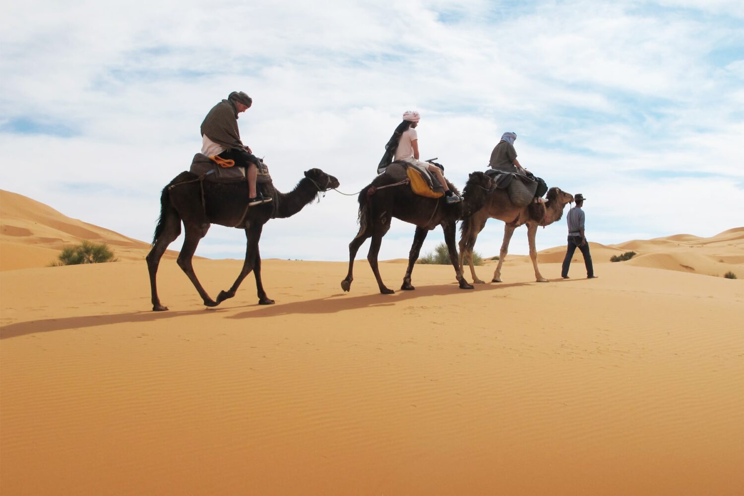 Tunisian Sahara Desert Camel Trek