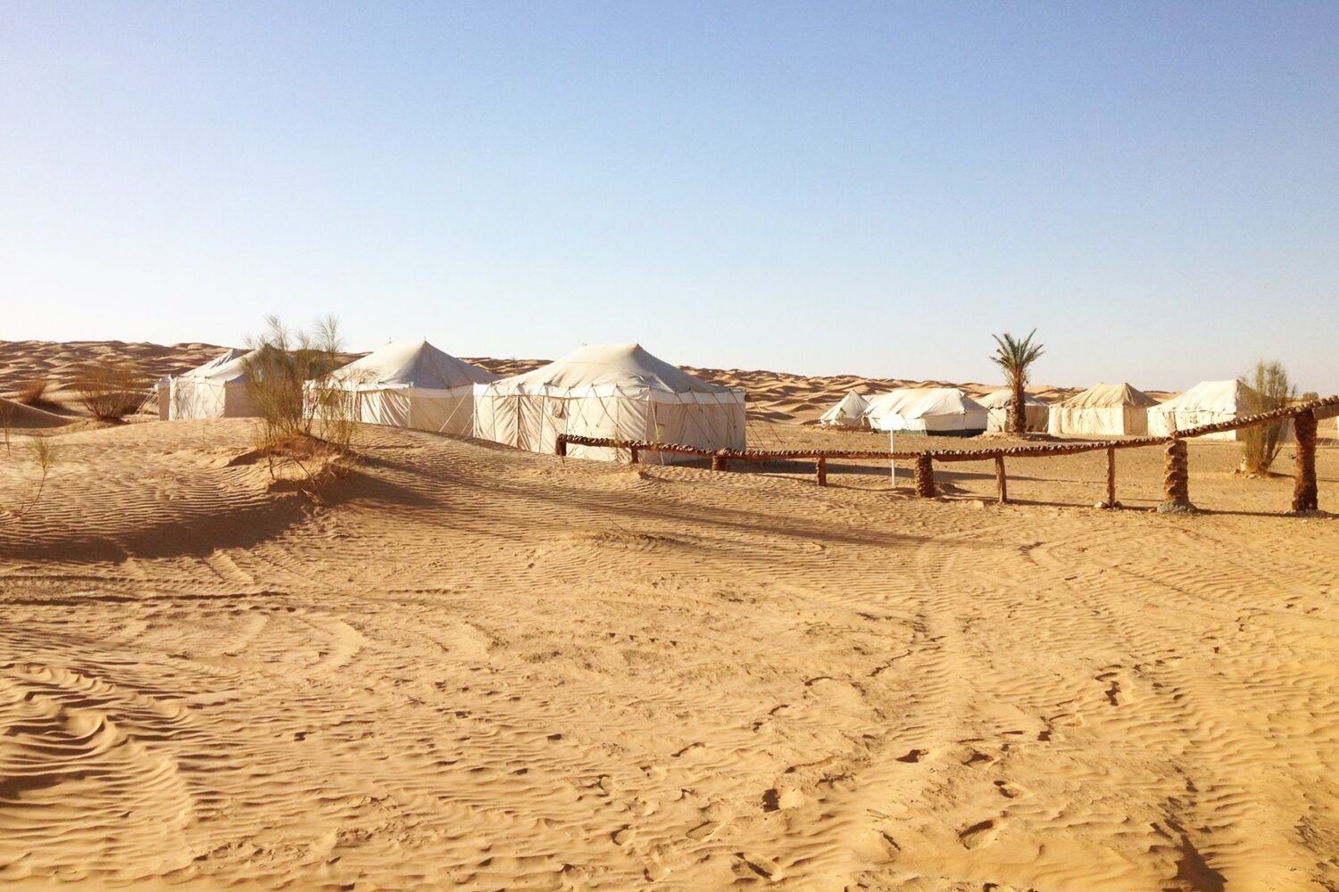 Zmela Saharan Camp: