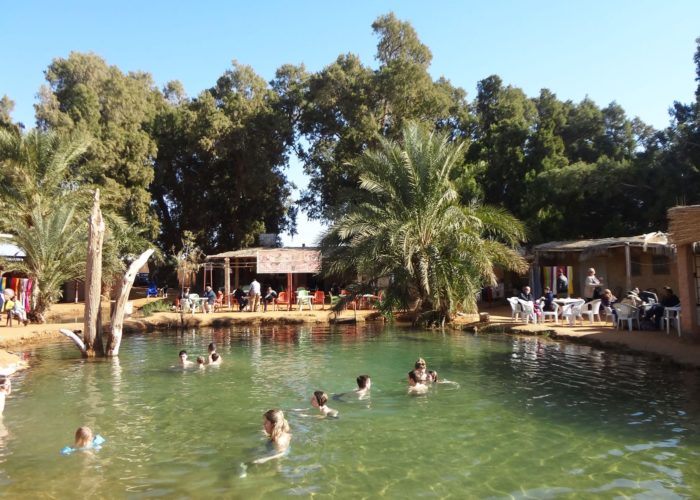 Oasis Sahara Ksar Ghilane Tunez