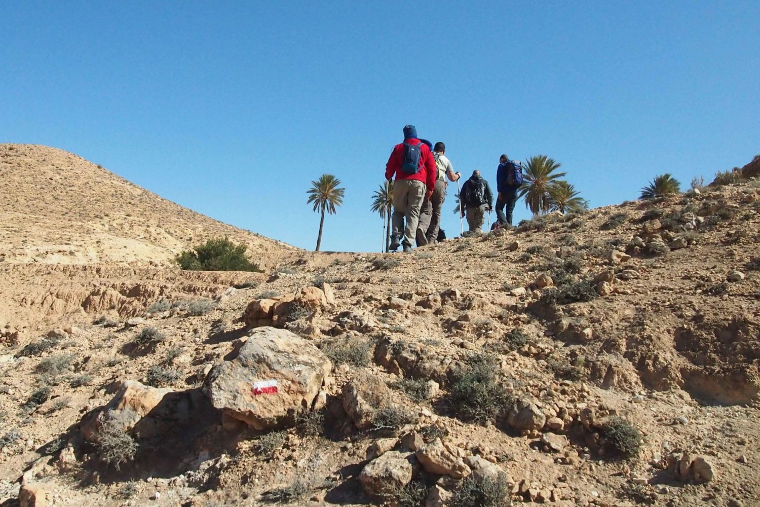 Trek and Hiking Tour Tunisia