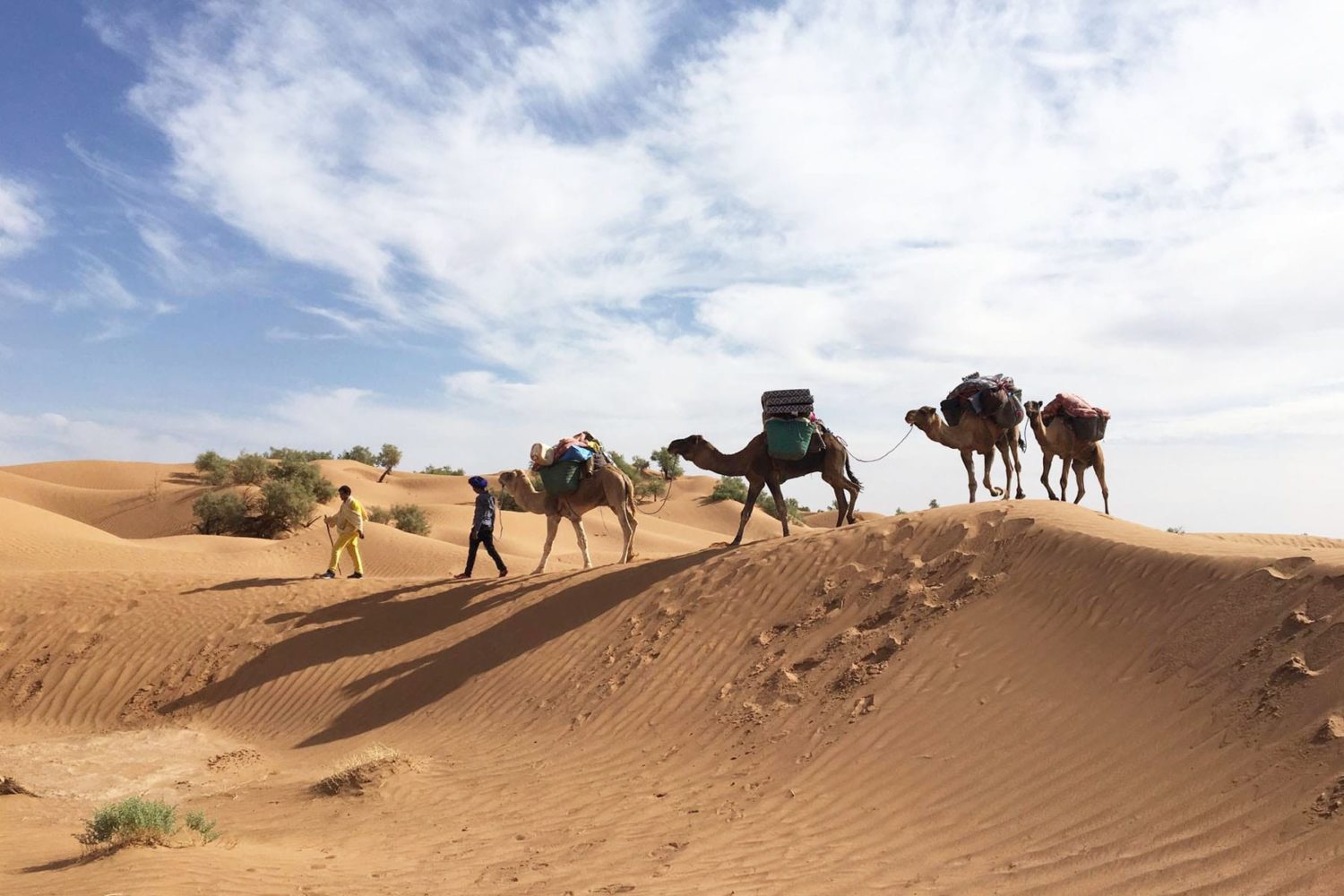 Rute de senderism o en el desierto del Sahara Tunez