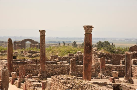 Roman Ruins: Bulla Regia site